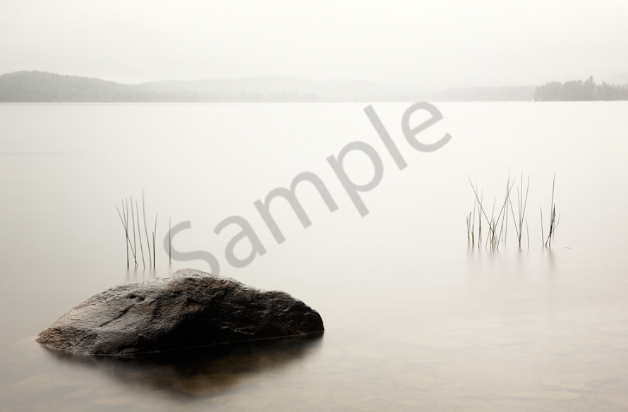 Morning Rain Photography Print