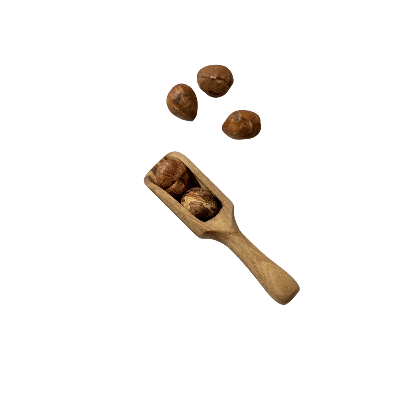 Natural Olive Wood Scoop